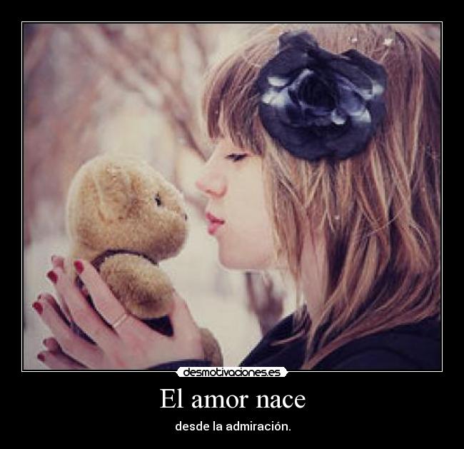 El amor nace - 