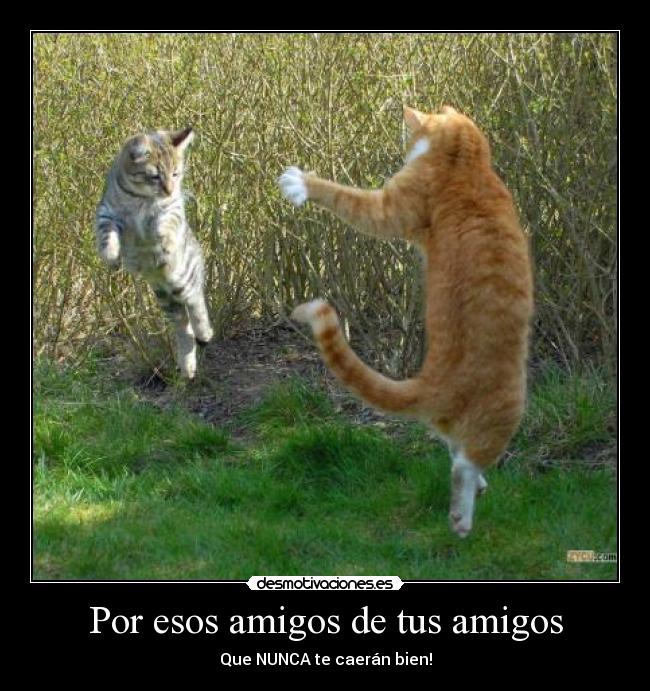 carteles amigos amigos enemigos desmotivaciones