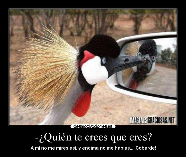-¿Quién te crees que eres? -