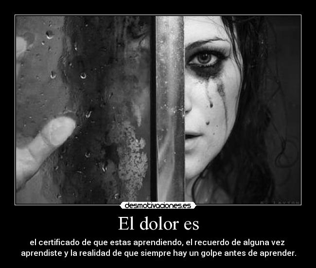 El dolor es - el certificado de que estas aprendiendo, el recuerdo de alguna vez 
aprendiste y la realidad de que siempre hay un golpe antes de aprender.