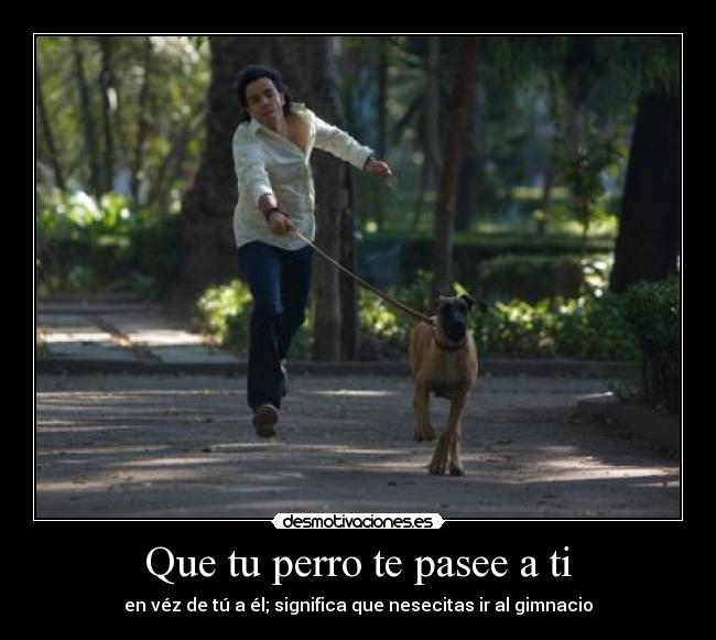 carteles risa desmotivaciones