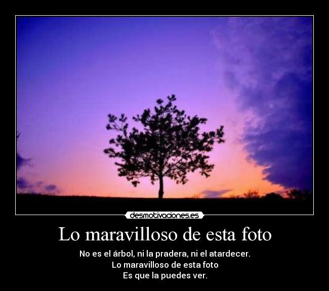Lo maravilloso de esta foto - 