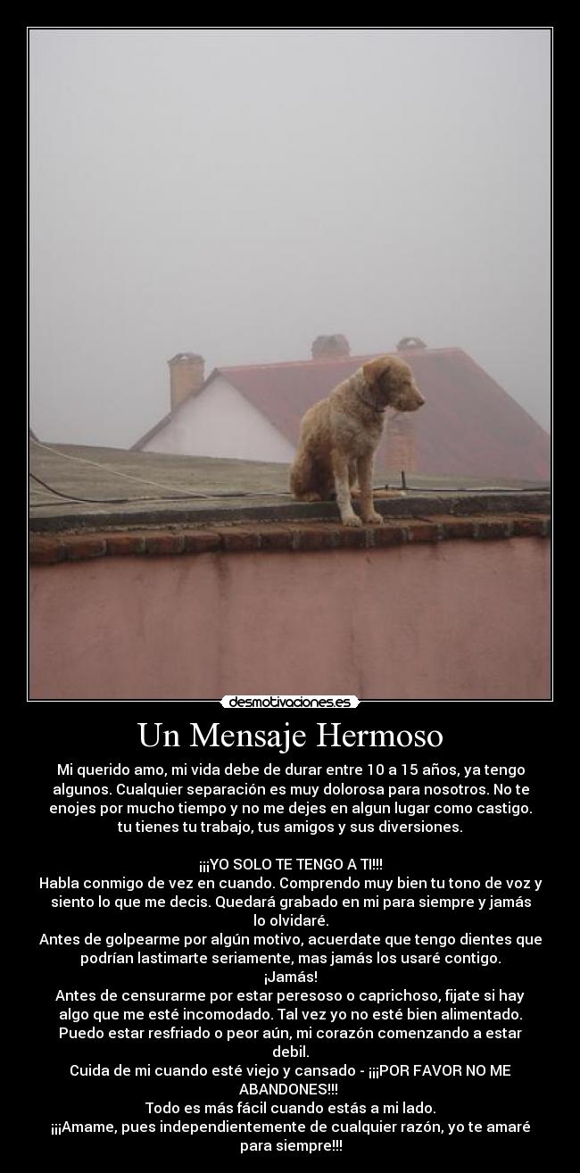 carteles uno los mensajes mas lindos verdaderos que haya visto desmotivaciones