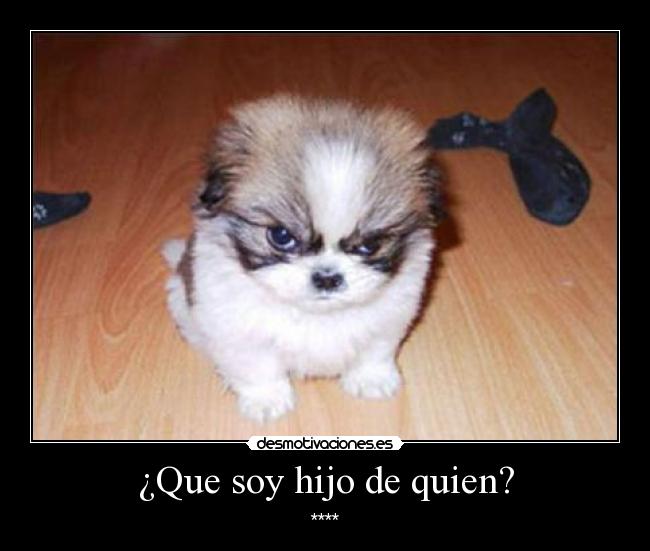 carteles pta desmotivaciones