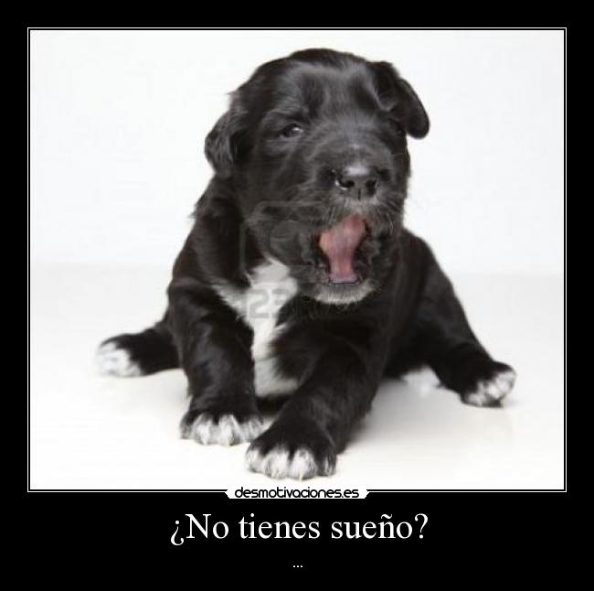 ¿No tienes sueño? - ...
