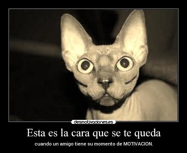 Esta es la cara que se te queda - cuando un amigo tiene su momento de MOTIVACION.