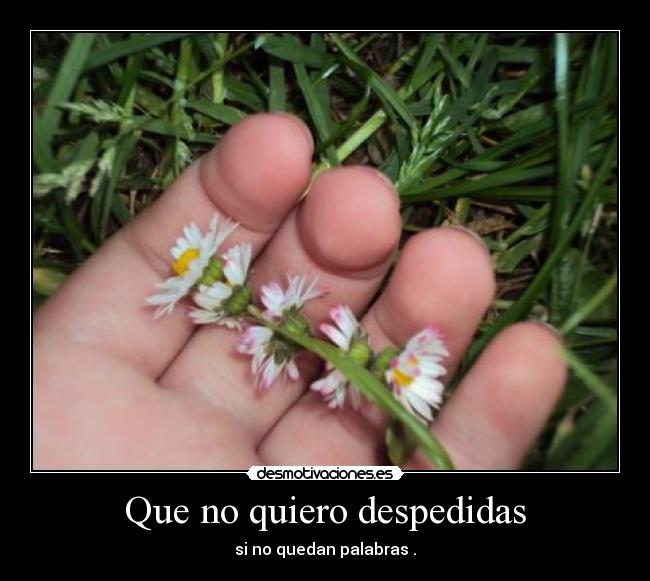 Que no quiero despedidas - si no quedan palabras .