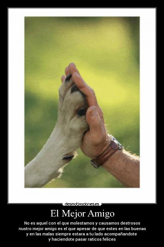 El Mejor Amigo - No es aquel con el que molestamos y causamos destrosos
nustro mejor amigo es el que apesar de que estes en las buenas
y en las malas siempre estara a tu lado acompañandote 
y haciendote pasar raticos felices