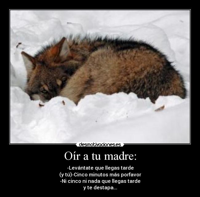 Oír a tu madre: - -Levántate que llegas tarde
(y tú)-Cinco minutos más porfavor
-Ni cinco ni nada que llegas tarde
y te destapa...