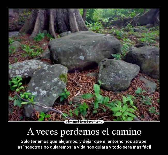 A veces perdemos el camino - Solo tenemos que alejarnos, y dejar que el entorno nos atrape 
así nosotros no guiaremos la vida nos guiara y todo sera mas fácil