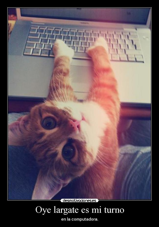 Oye largate es mi turno - en la computadora.