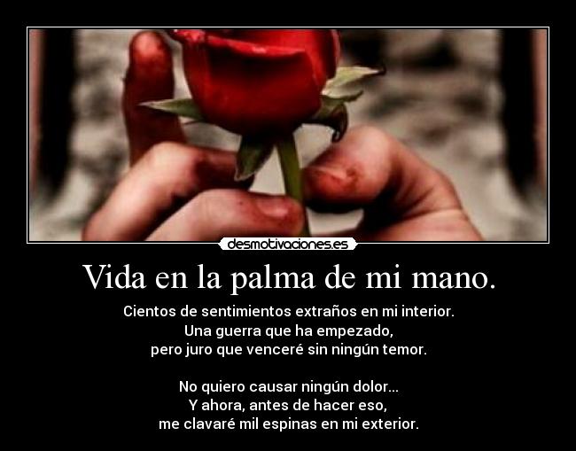 Vida en la palma de mi mano. - Cientos de sentimientos extraños en mi interior.
Una guerra que ha empezado,
pero juro que venceré sin ningún temor.
No quiero causar ningún dolor...
Y ahora, antes de hacer eso,
me clavaré mil espinas en mi exterior.