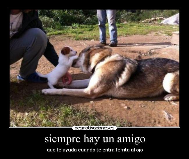 siempre hay un amigo - 