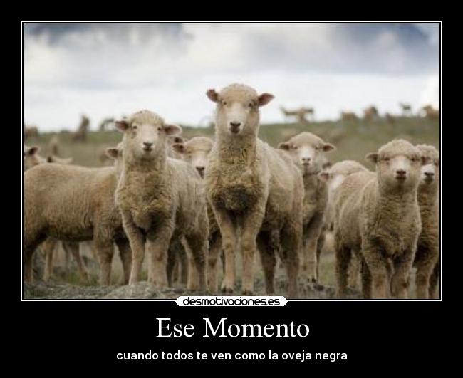 Ese Momento - cuando todos te ven como la oveja negra
