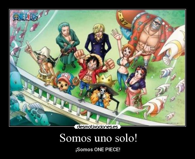 carteles one piece luffy zoro sanji nami desmotivaciones