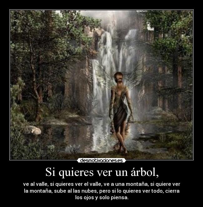 Si quieres ver un árbol, - ve al valle, si quieres ver el valle, ve a una montaña, si quiere ver
la montaña, sube al las nubes, pero si lo quieres ver todo, cierra
los ojos y solo piensa.