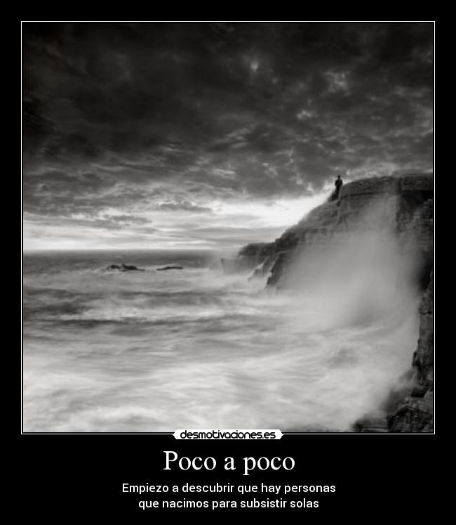 carteles nacimos para vivir solas desmotivaciones