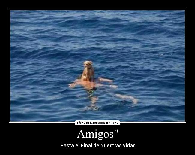 Amigos - Hasta el Final de Nuestras vidas