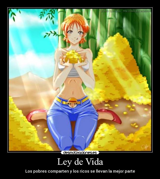 carteles vida one piece nami dinero desmotivaciones