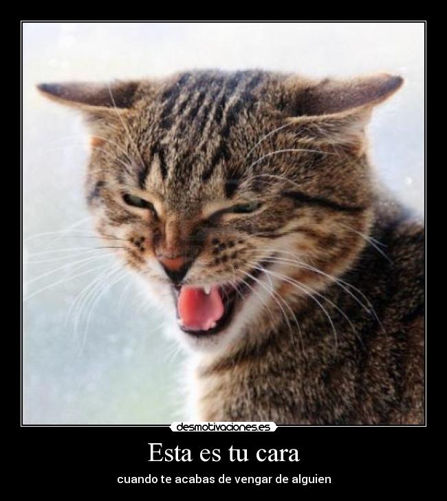 Esta es tu cara - cuando te acabas de vengar de alguien