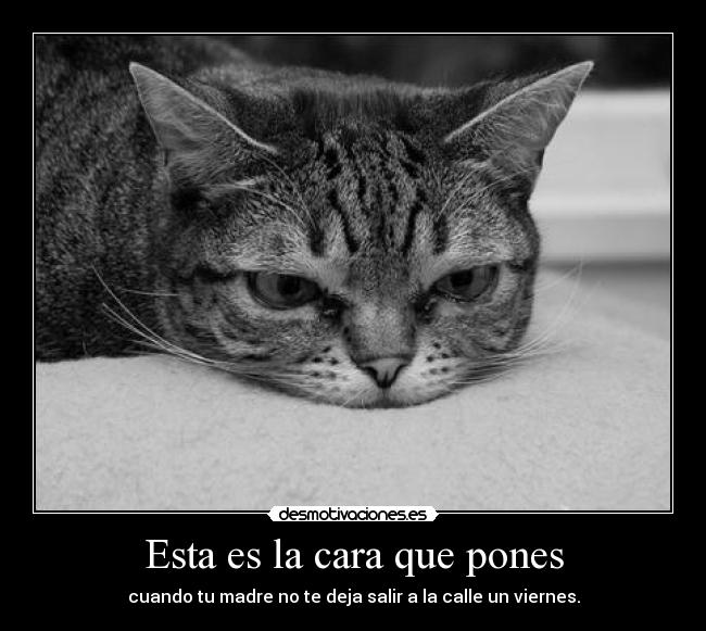 carteles littlereason desmotivaciones