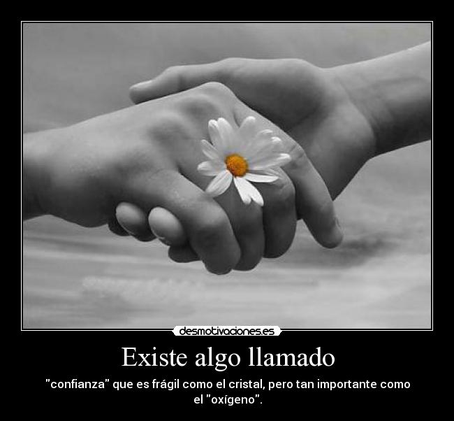 carteles confianza desmotivaciones