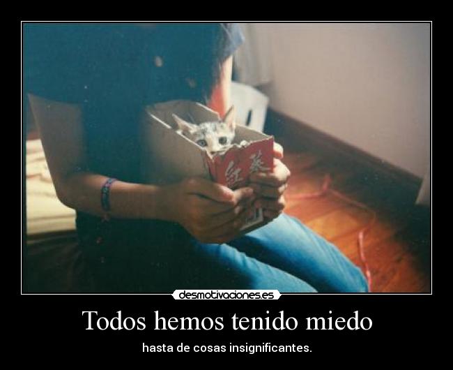 Todos hemos tenido miedo -