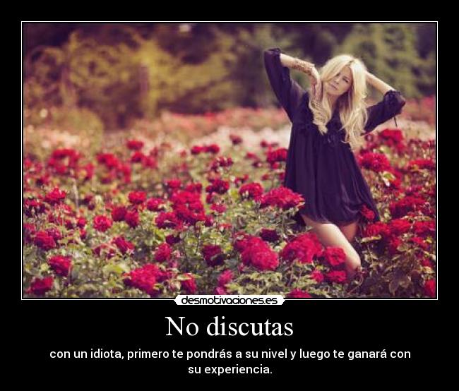 No discutas - con un idiota, primero te pondrás a su nivel y luego te ganará con su experiencia.