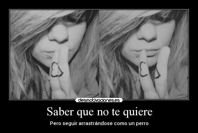 Saber que no te quiere - Pero seguir arrastrándose como un perro