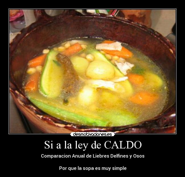 Si a la ley de CALDO - Comparacion Anual de Liebres Delfines y Osos

Por que la sopa es muy simple