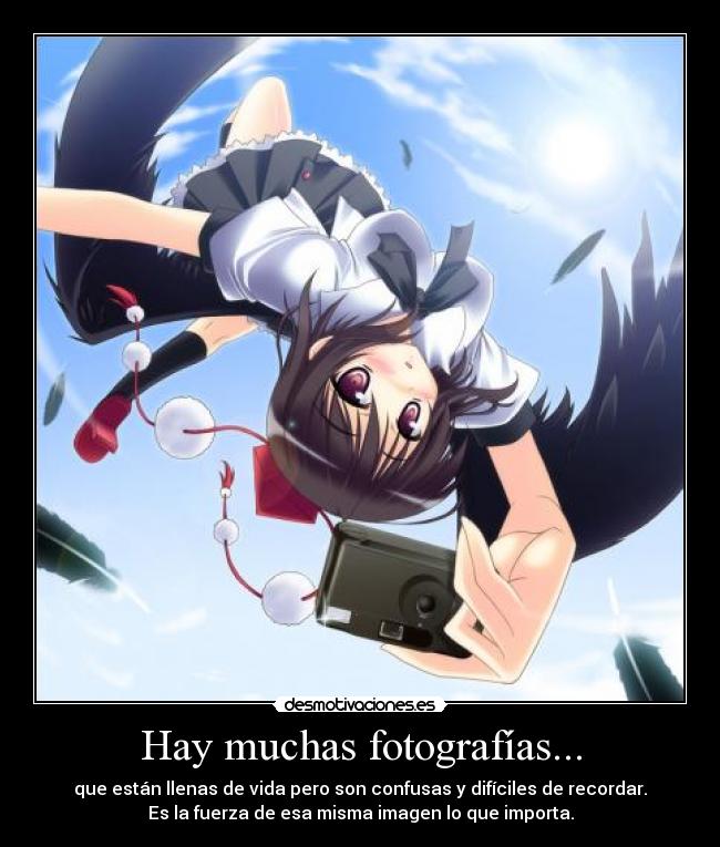 Hay muchas fotografías... -