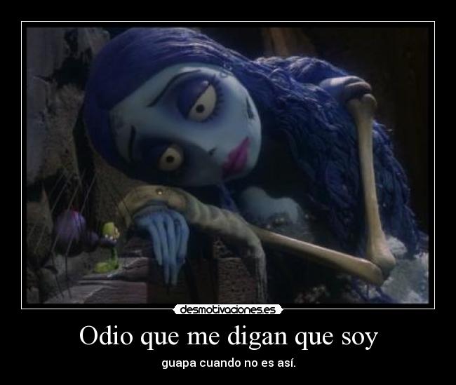 carteles odio gustaria desmotivaciones