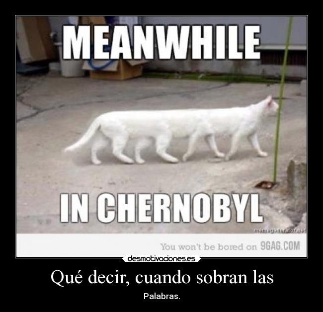 Qué decir, cuando sobran las - Palabras.