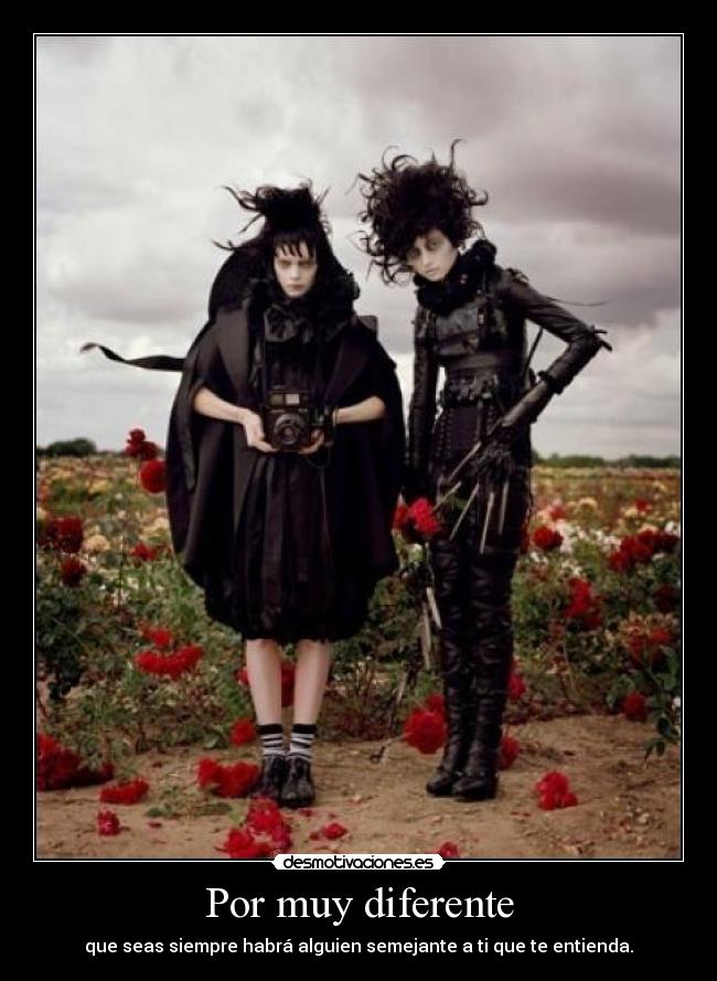 carteles dimont all you need love love all you need desmotivaciones