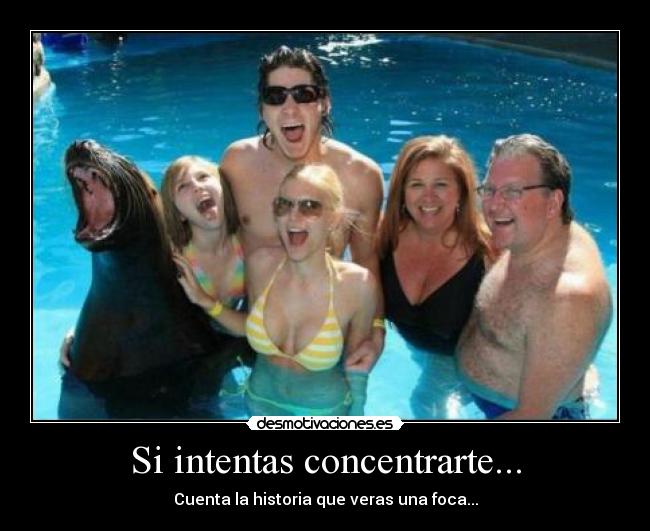 Si intentas concentrarte... - Cuenta la historia que veras una foca...
