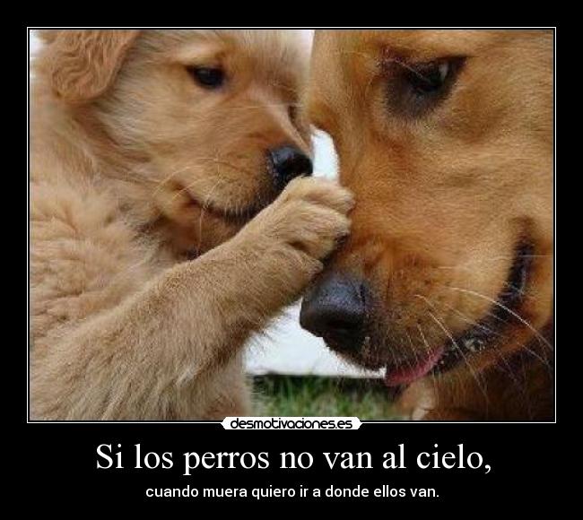 carteles perros desmotivaciones