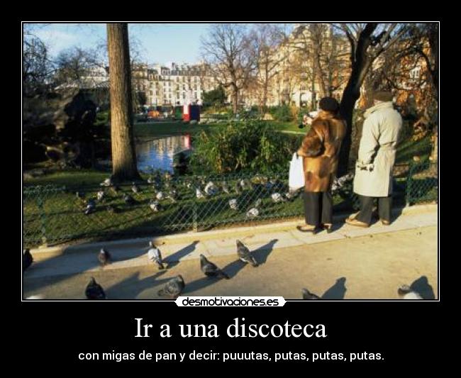 Ir a una discoteca - con migas de pan y decir: puuutas, putas, putas, putas.