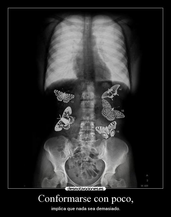 carteles cualquiera diria que soy adicto humo tus cigarrillos desmotivaciones