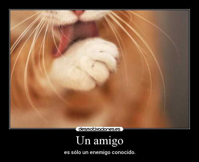 Un amigo - es sólo un enemigo conocido.