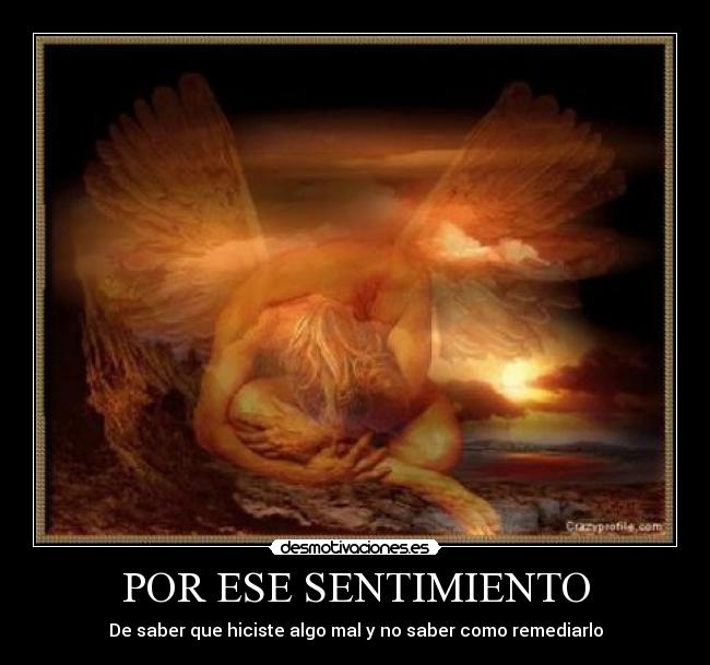 POR ESE SENTIMIENTO -
