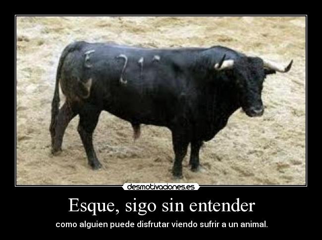 Esque, sigo sin entender -