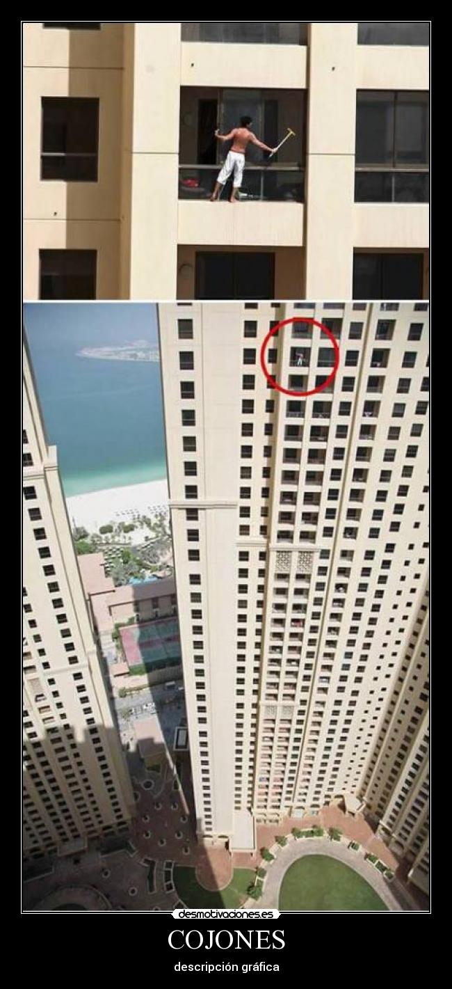 COJONES - descripción gráfica