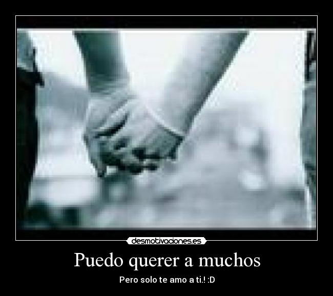 Puedo querer a muchos -