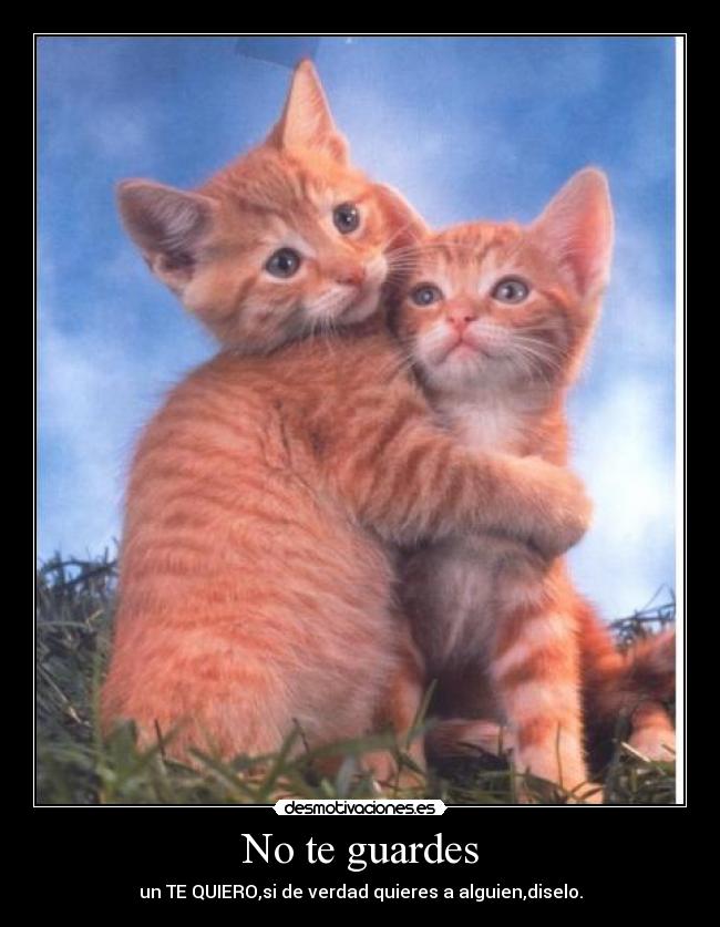 carteles wtf porq puede subir carteeeeeeeeeeeeeeeeeeeeeeeeeeeeeeeeeeeeeel desmotivaciones