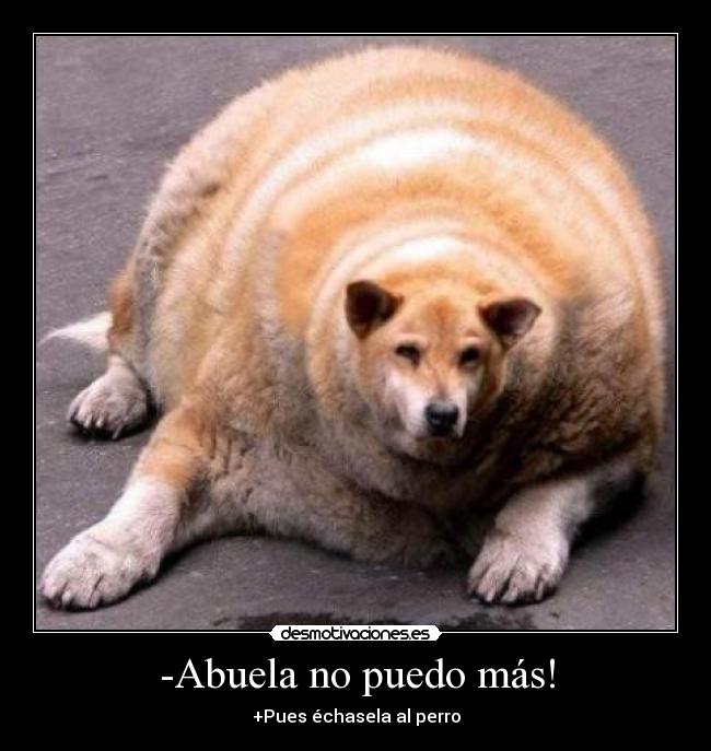 -Abuela no puedo más! -