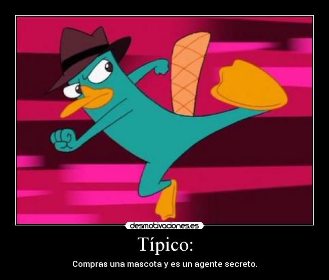 Típico: - Compras una mascota y es un agente secreto.