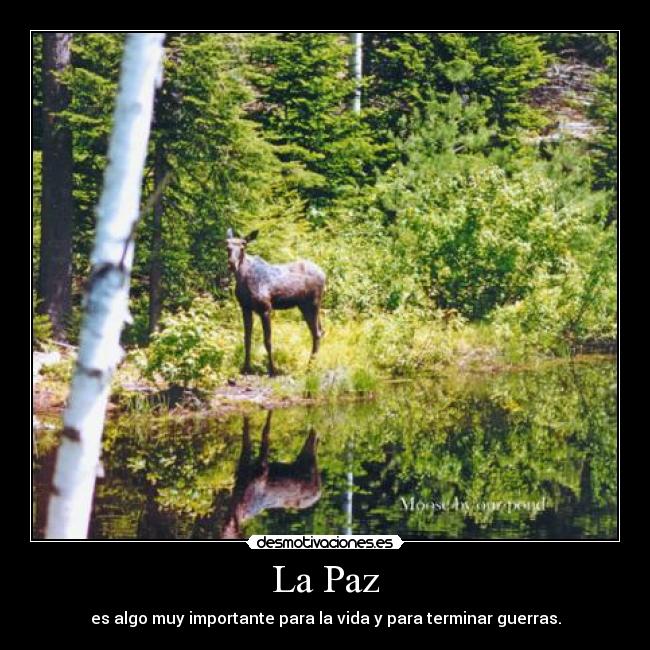 La Paz - es algo muy importante para la vida y para terminar guerras.