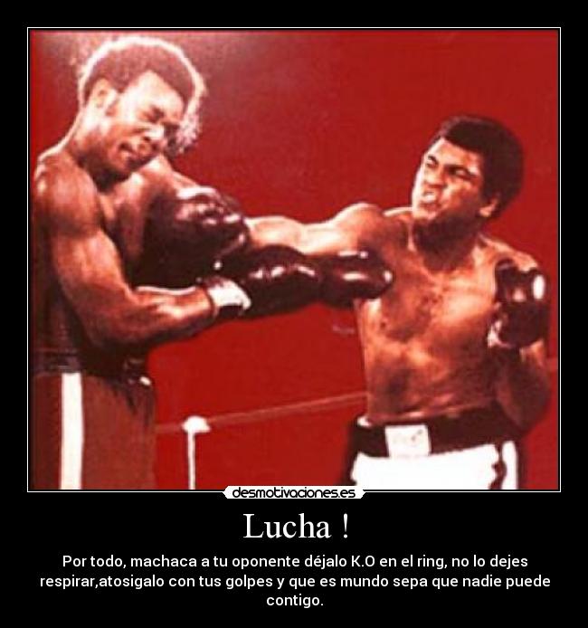 Lucha ! - Por todo, machaca a tu oponente déjalo K.O en el ring, no lo dejes
respirar,atosigalo con tus golpes y que es mundo sepa que nadie puede
contigo.