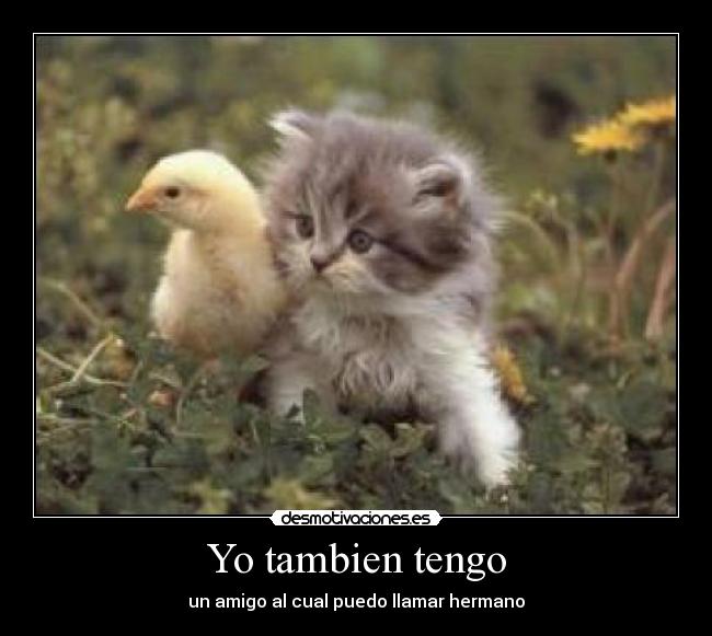 Yo tambien tengo - un amigo al cual puedo llamar hermano