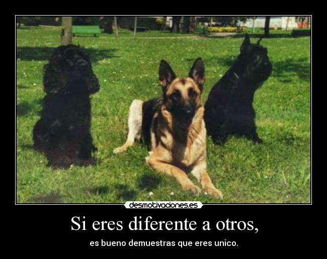 carteles paichu desmotivaciones